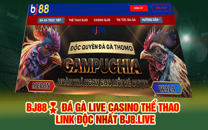 BJ88🎖️ Đá gà Live Casino Thể thao - Link độc nhất bj8.live