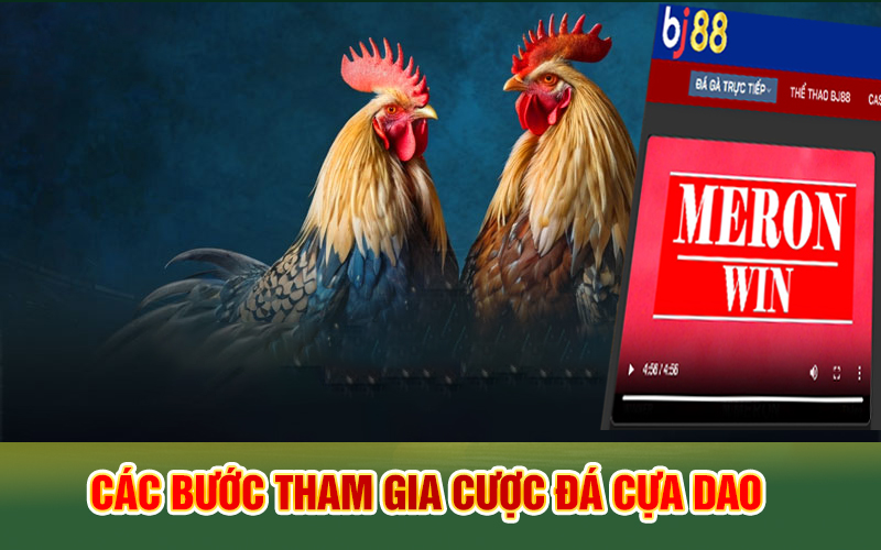 Các bước tham gia chơi đá cựa dao