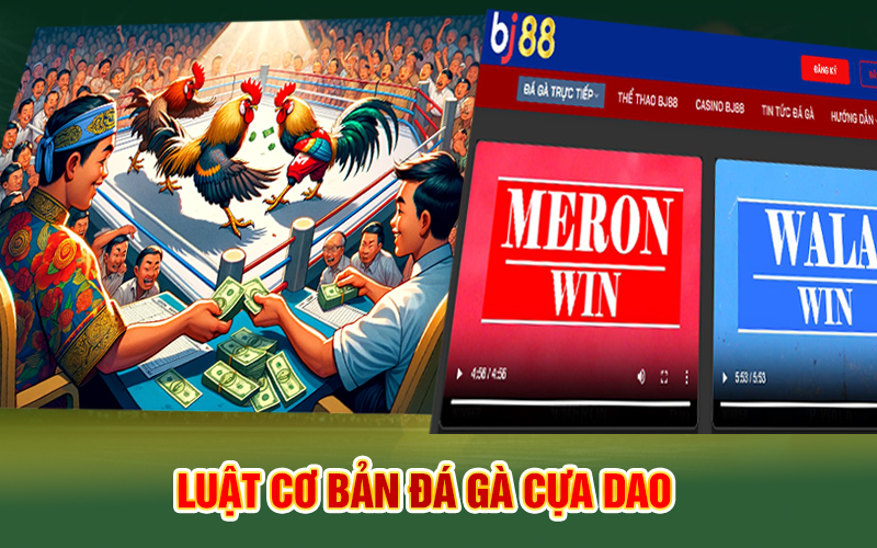 Luật cơ bản đá gà cựa dao