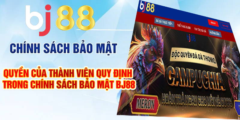 Quyền của thành viên được quy định trong chính sách bảo mật Bj88